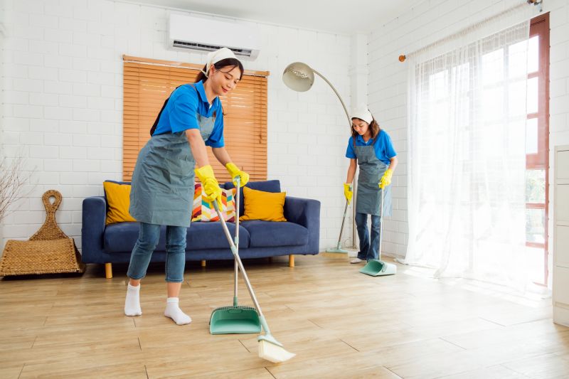 Couch Cleaning Pros