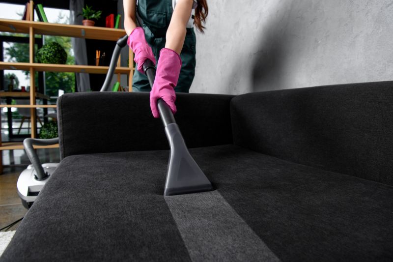 Upholstery Cleaning Cost — cost