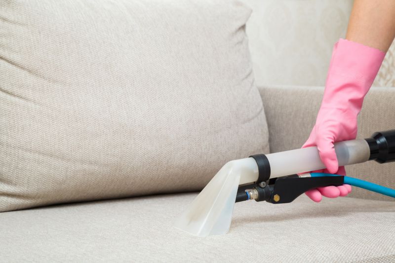 Upholstery Cleaning Cost — cost