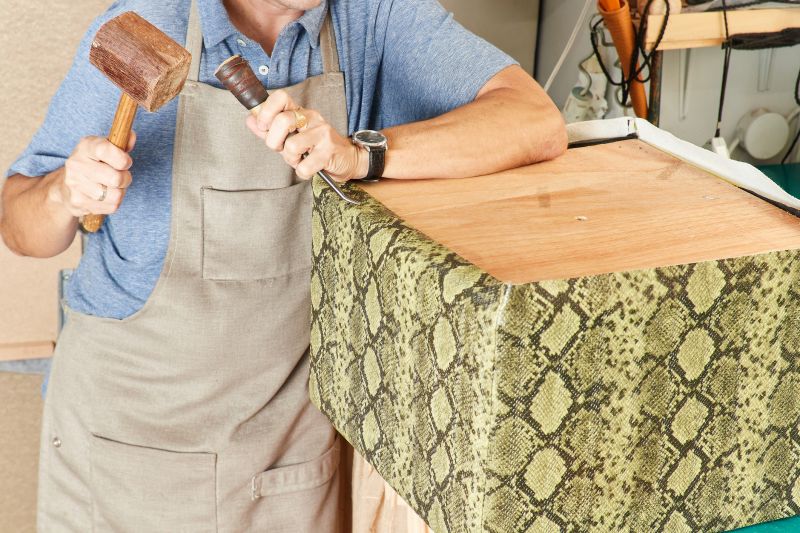 Upholstery Cleaning Cost — cost