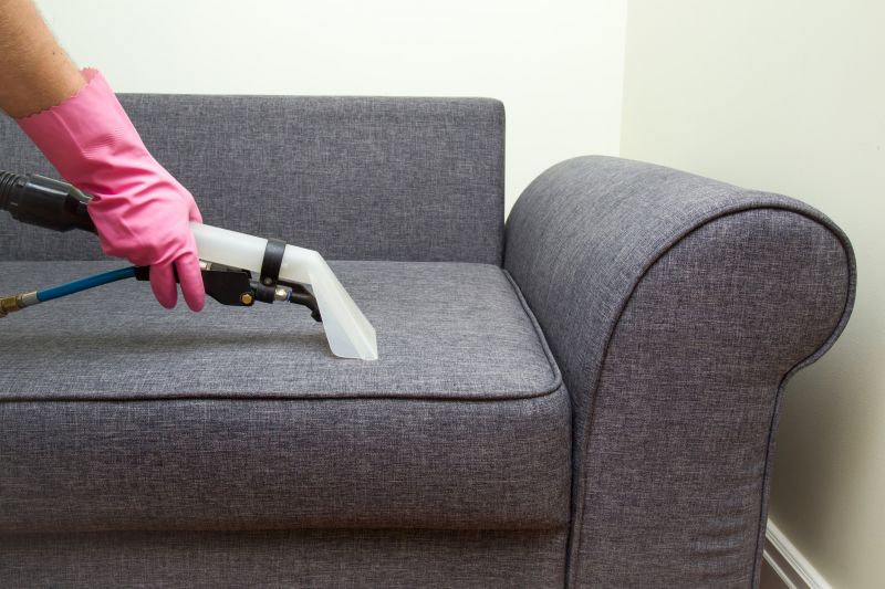 Upholstery Cleaning Cost — cost