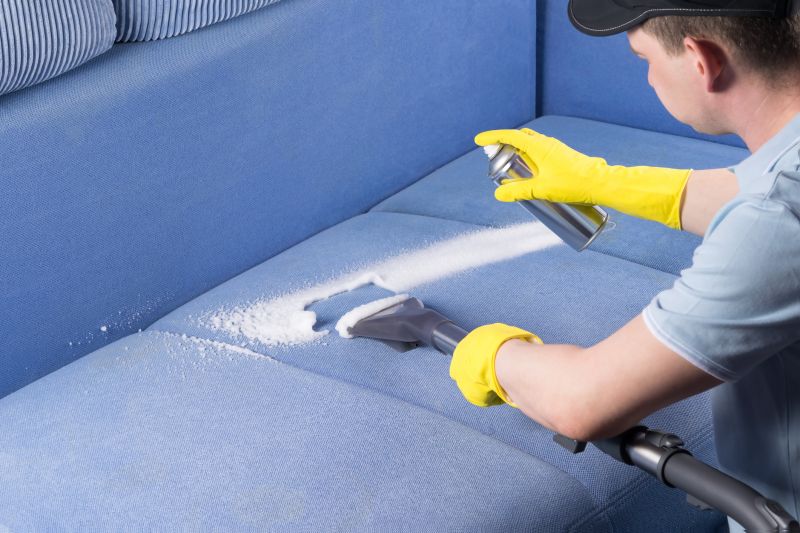 Upholstery Cleaning Cost — cost